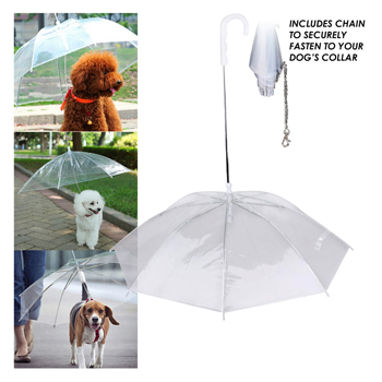 Dog Walking Umbrella Leash Combo