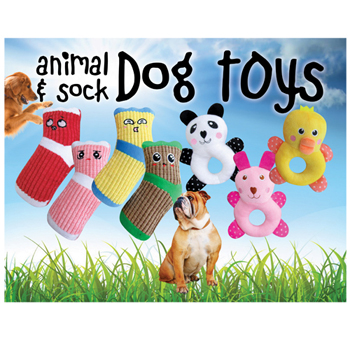 2-DOG18-DSP 8x10 card Dog Toys