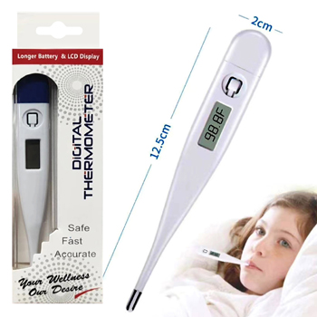 Digital Thermometer with LED Display