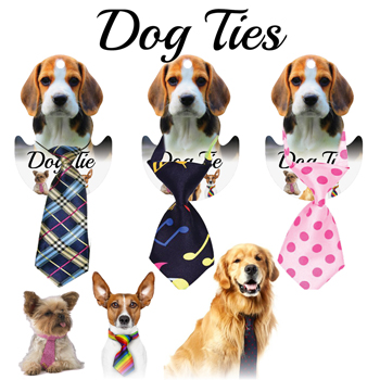 12 Assorted Dog Ties carded