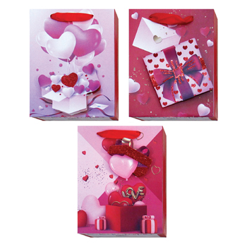 Medium Valentine's Day Gift Bags - Assorted Designs
