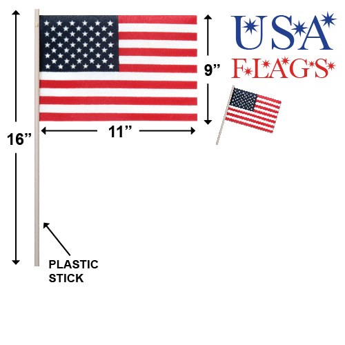 USA FLAGs