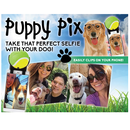 2-DOGPIC-DSP 8x10 card. Dog Selfie Display