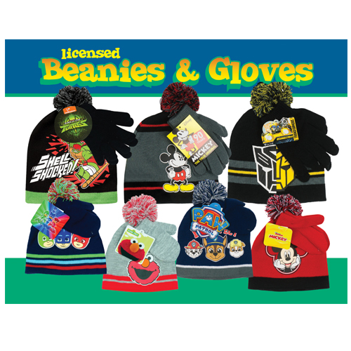 2-WS11-DSP 8x10 card HATs & gloves