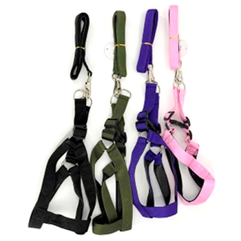 Dog Leash and Harness - asst colors
