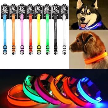 Led Dog Collar 8 Colors