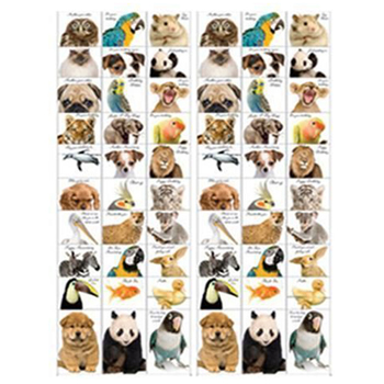 Animal Cards - 30 styles, 2 Dz each